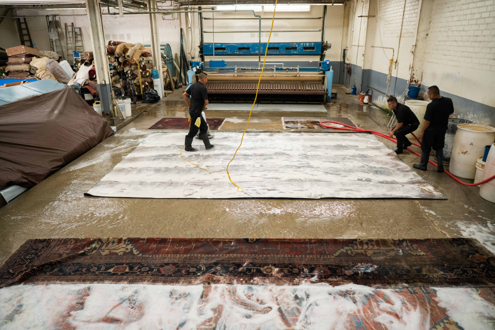 What is the Best Time to Clean Rugs? Anytime You Go on Vacation! 3 Rug Cleaning Frequency